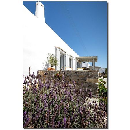 Exochi Traditional Houses Krotiri Δωμάτιο φωτογραφία