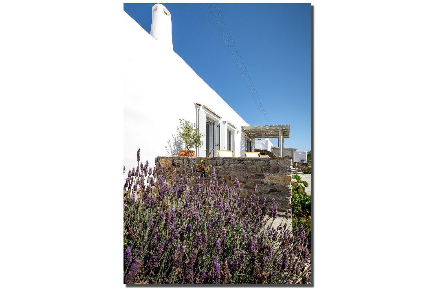 Exochi Traditional Houses Krotiri Δωμάτιο φωτογραφία